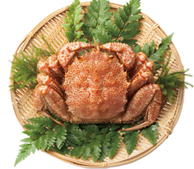 . 海明け毛がに（浜ゆでチルド）650ｇ前後（超特大サイズ）