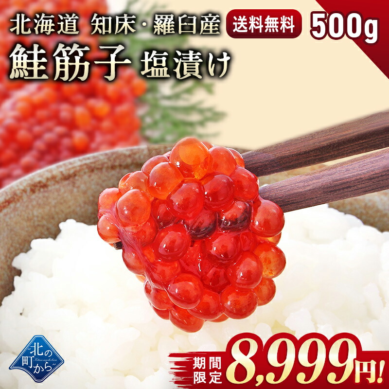 【期間限定OFF! 9,480円⇒8,999円】北海道 知床・羅臼産 鮭筋子 500g 塩漬け 熟成されたコクや旨味！ すじこ スジコ 筋子 塩筋子 鮭卵 魚卵 おにぎり ご飯のお供 天然 国産 お取り寄せ ギフト 送料無料