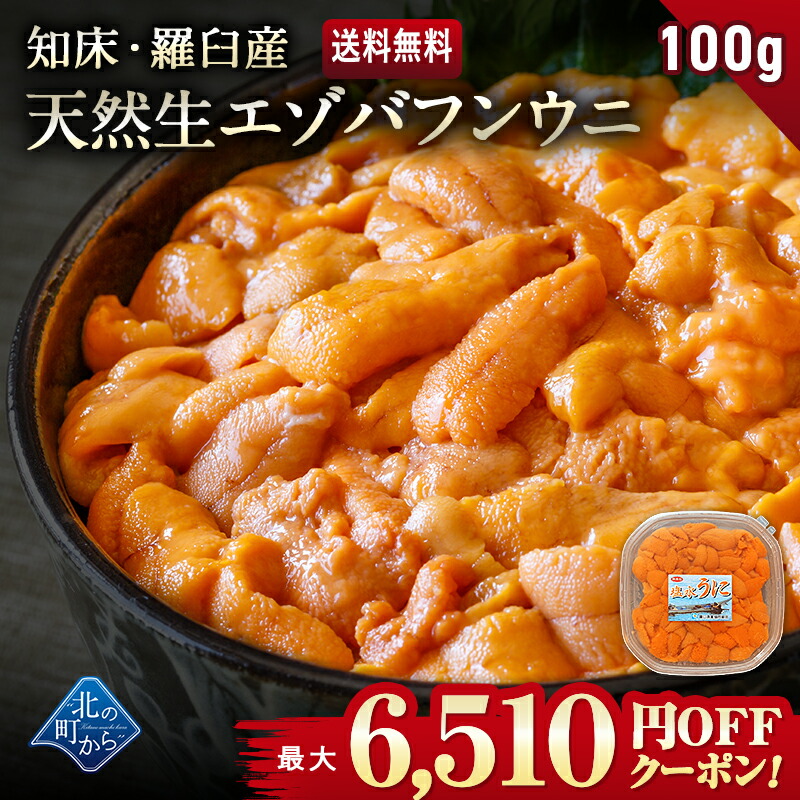 【最大6,510円OFFクーポンあり】ウニ 希少な知床・羅臼産 塩水ウニ 100g うに 雲丹 生ウニ 生うに 北海道産 ミョウバン不使用 塩水パック 無添加 国産 高級 ギフト うに丼 お取り寄せ グルメ 送料無料【同梱不可】【5月下旬から順次発送予定】
