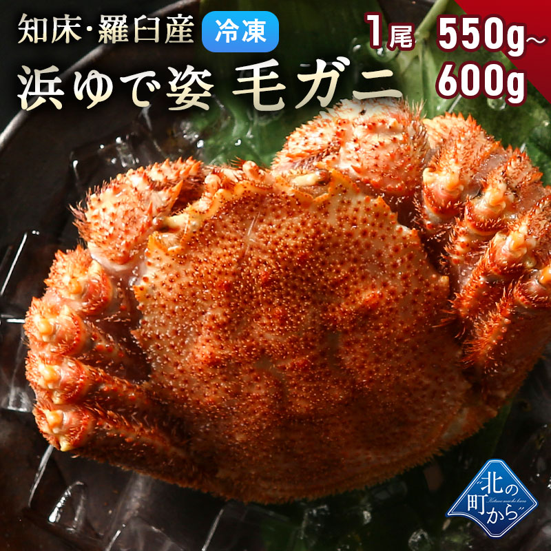 2274円 品質満点 毛ガニ 希少な知床 羅臼産 550g〜600g 採れたての毛蟹を新鮮なうちに浜茹でに 毛蟹 毛カニ 毛かに 毛がに カニ 蟹