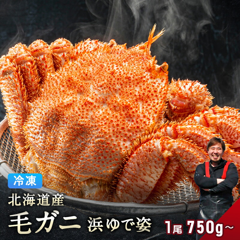 楽天市場】北海道産 毛ガニ 1尾 【浜茹で急速冷凍 姿】 採れたての毛蟹