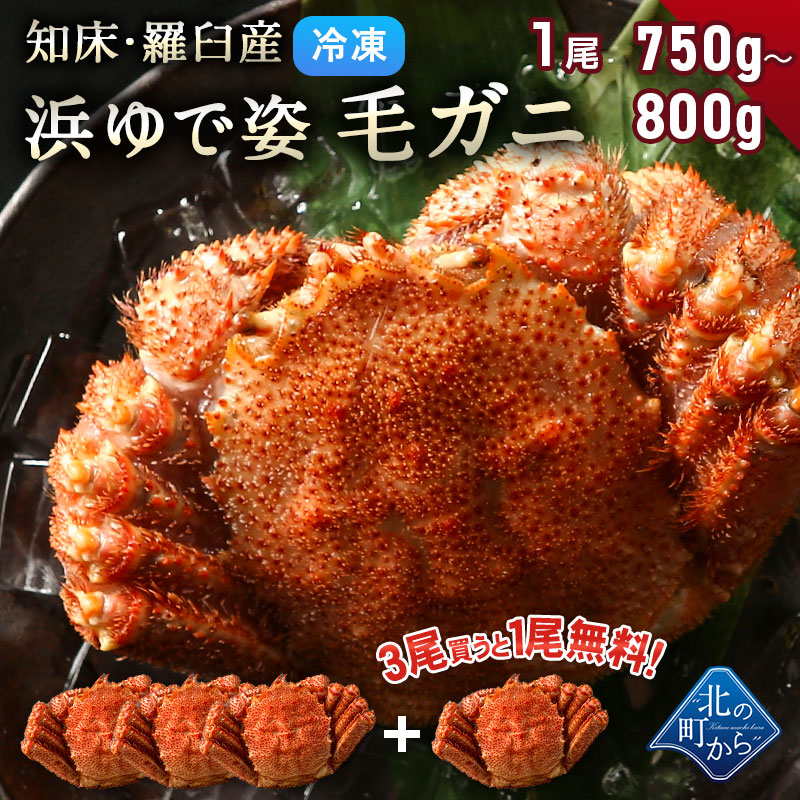 絶対一番安い 毛ガニ な知床 羅臼産 750g 800g 浜茹で急速冷凍 姿 採れたての毛蟹を新鮮なうちに浜茹でに 毛蟹 毛カニ 毛かに 毛がに カニ 蟹 3尾ご購入で1尾プレゼント中 北の町から 最安値 M Universalcolleges Com
