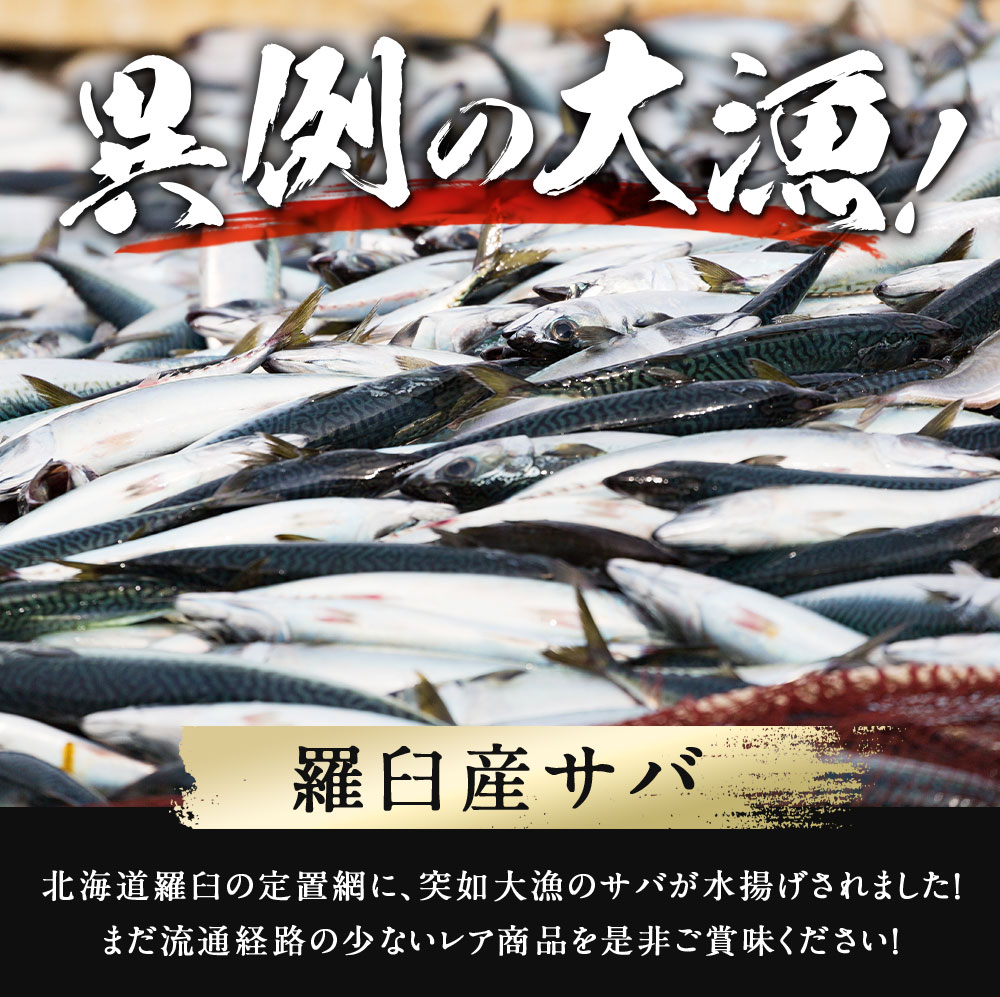 市場 サバ半身一夜干し10〜12枚入 北海道 知床