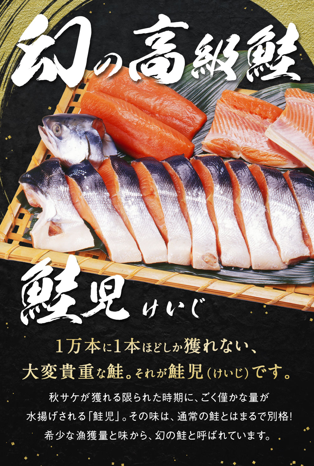 おすすめ特集 幻の鮭 鮭児 2 7kg 姿 北海道 知床ウトロ産 けいじ ケイジ 高級魚 Fucoa Cl