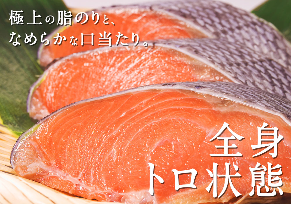 おすすめ特集 幻の鮭 鮭児 2 7kg 姿 北海道 知床ウトロ産 けいじ ケイジ 高級魚 Fucoa Cl