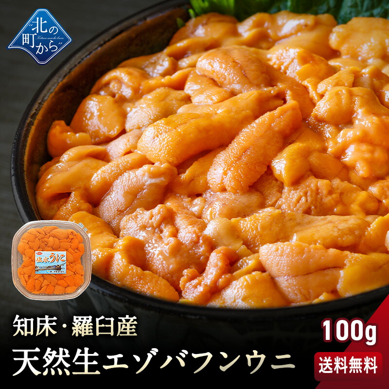 ウニ 希少な知床・羅臼産 塩水ウニ 100g キタムラサキよりも勝るとされる「エゾバフンウニ」！ うに 雲丹 生ウニ 生うに 北海道産 ミョウバン不使用 塩水パック 無添加【同梱不可】【5月下旬から順次発送予定】