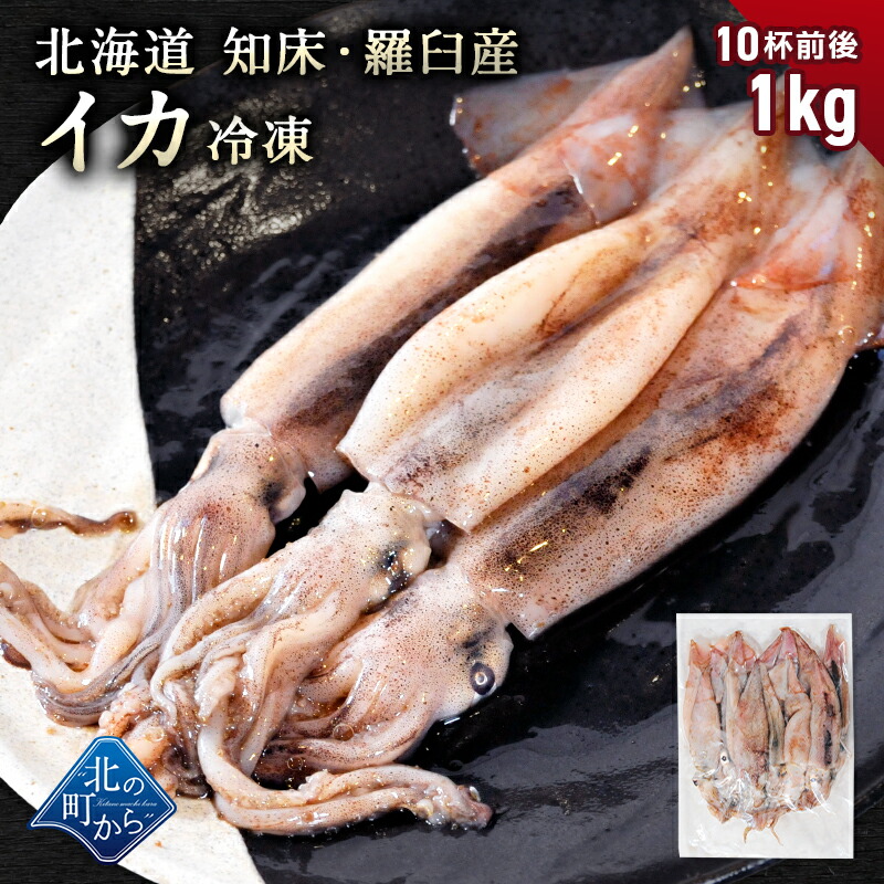 楽天市場】スルメイカ 北海道 知床産 一夜干し小1枚 肉厚スルメイカを