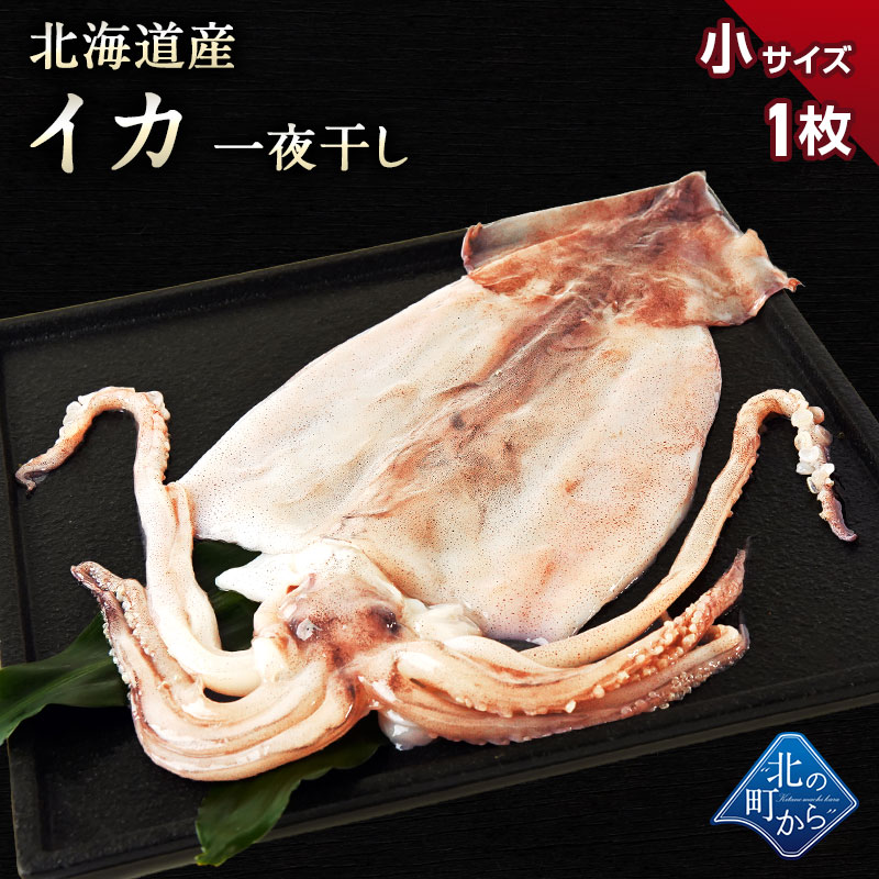 楽天市場】スルメイカ 北海道 知床産 一夜干し大1枚 肉厚スルメイカを