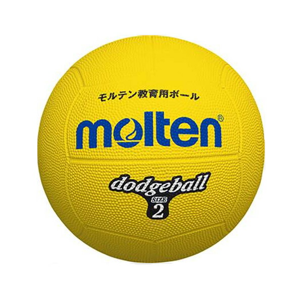 楽天市場】ビーチボール 公認球【バレーボール/試合用】 : 野球