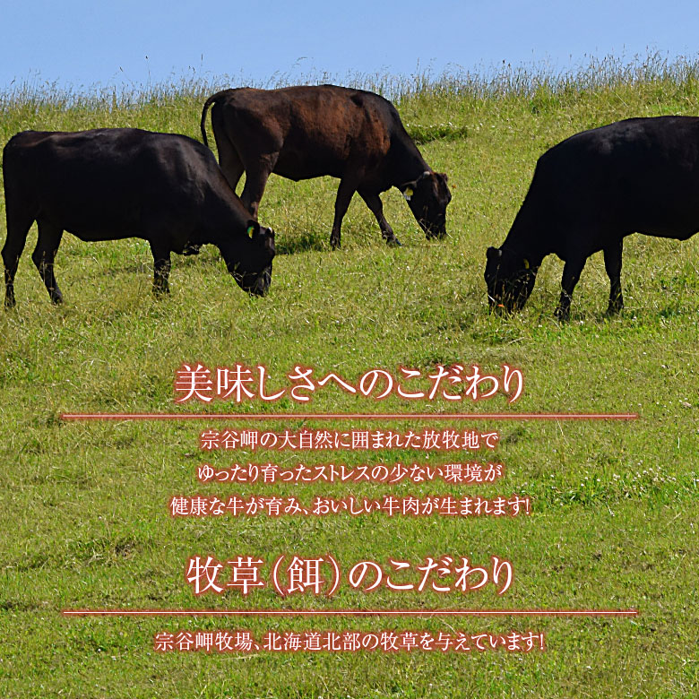 楽天市場 宗谷岬牧場のハンバーグ 1g 4個入り お試し ハンバーグ 牛肉 和牛 美味しい おいしい 肉汁 高級 北海道産 宗谷黒牛 お取り寄せ お歳暮 プレゼント グルメ ギフト 贈り物 贈答 内祝い お返し 父の日 母の日 敬老の日 お中元元 北海道 宗谷の海鮮グルメ 北うま