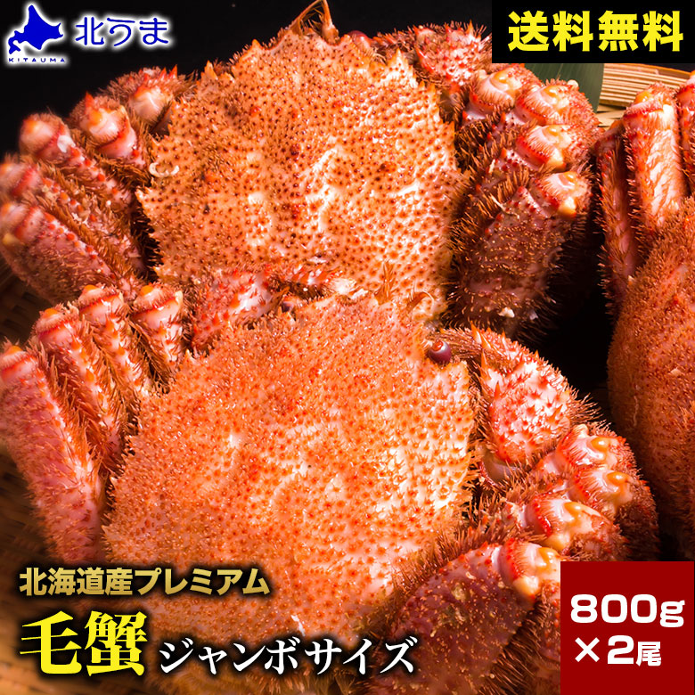 【期間限定/宗谷産ほたて無料同梱中！】毛ガニ 1.6kg（800g×2）【毛蟹 ケガニ けがに け蟹 かに 蟹 オホーツク 加工 北海道 冷凍 グレース シュリンク包装 ギフトプレゼント グルメ 贈り物 贈答 食品 食べ物 内祝い お返し お歳暮 敬老の日 お中元】