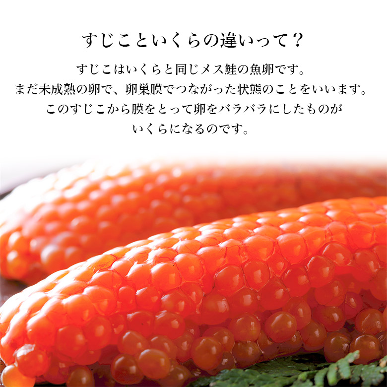 楽天市場 秋鮭筋子 500ｇ すじこ 筋子 魚卵 天然 濃厚 最高級 高級 プレゼント グルメ ギフト おすすめ お歳暮 贈り物 贈答 食品 食べ物 内祝い お返し お中元 北海道 宗谷の海鮮グルメ 北うま