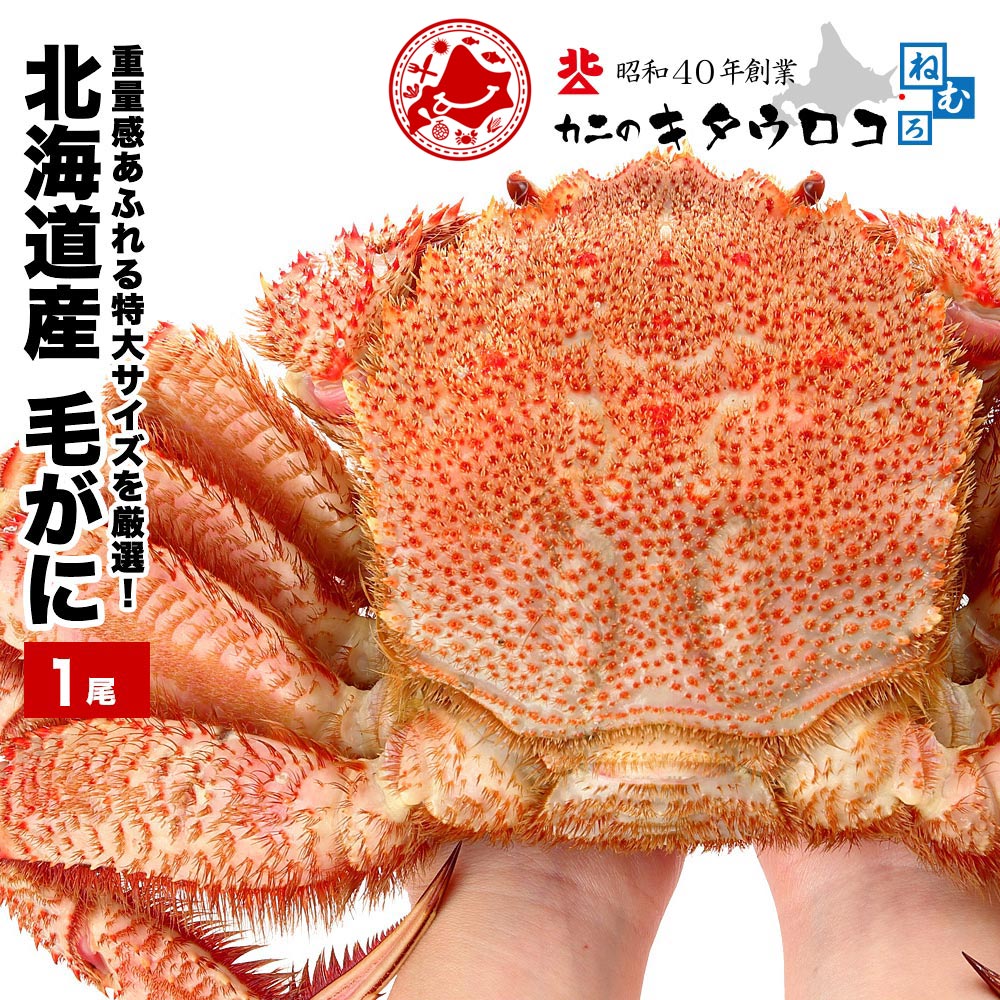 選べる 北海道産 毛ガニ 1尾 中 650g前後 大 800g 特大 1kg前後 570g前後 ×2尾入 送料無料 毛蟹 お歳暮 御歳暮 ギフト かに カニ 蟹 ka