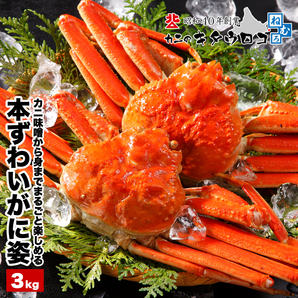 北海道産 大ずわいがに 姿 まるごと 6尾前後入 計3kg カット済みも選べる！ かに カニ ボイル 蟹 ズワイガニ 父の日 母の日 ギフト 送料無料｜カニのキタウロコ
