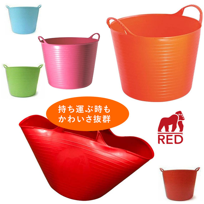 赤いバケツです♪4点セット！ガジュマル　ココヤシ　アスプレニウム　コブラ 赤いバケツ様専用です♪4点セット！ガジュマル ココヤシ アスプ