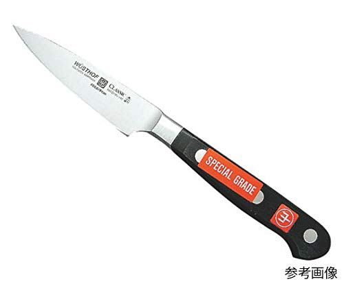 アズワン DZ ペティーナイフ 4066-10SG 10cm/62-8219-46