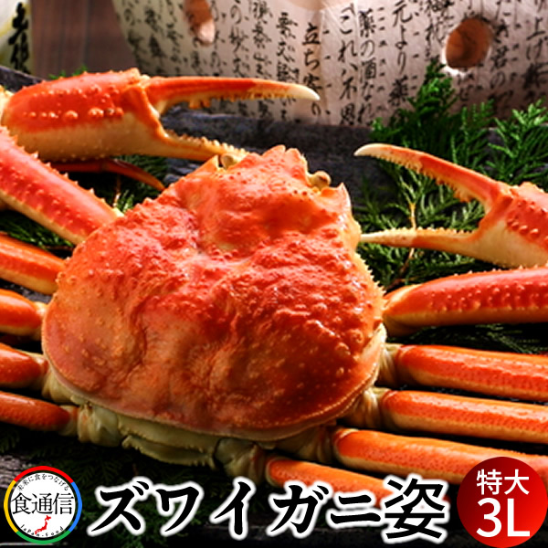 貴重 ずわいがに姿 特大1尾（800g～1kg）ボイル かに ずわい蟹 ズワイガニ 姿 カニ鍋 焼きガニ カニしゃぶ 景品 北の大地 産地直送 お取り寄せ おすすめ［産直食品ギフト］