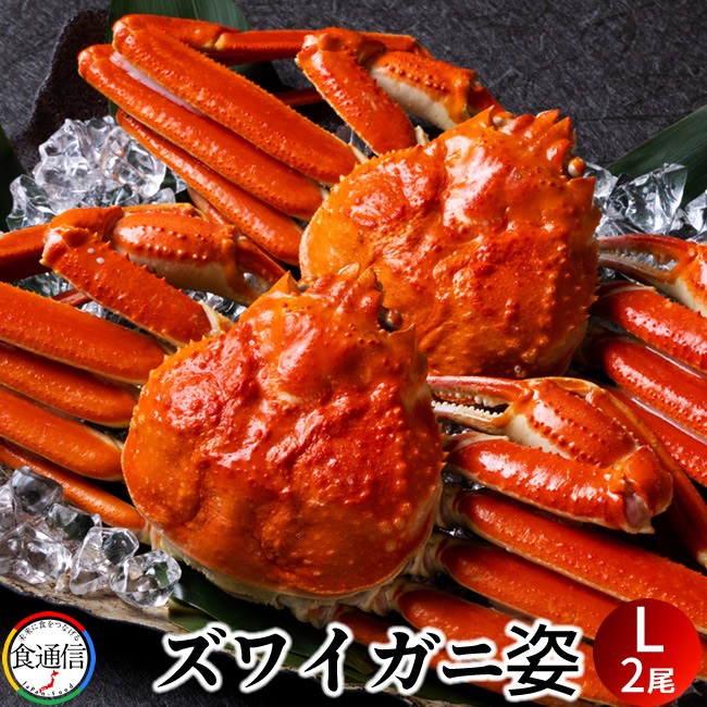 ずわいがに姿 1kg (2尾入）ボイル かに ずわい蟹 ズワイガニ 姿 北の大地 景品 カニ鍋 焼きガニ 産地直送 お取り寄せ おすすめ［産直食品ギフト］