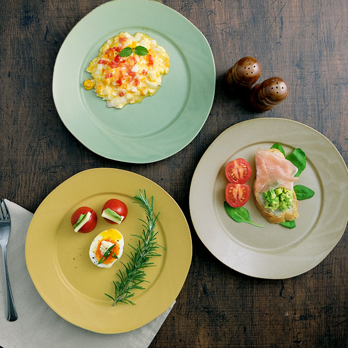 楽天市場】洋食器 ラフィネ 24cmリムプレート 選べる4色 パスタ皿 大皿