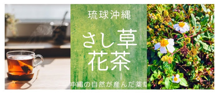 楽天市場 さし草 粉 パウダー ２パックセット お料理やデザートの風味づくりや栄養成分の補充に最適 キッチンのぎ 楽天市場店