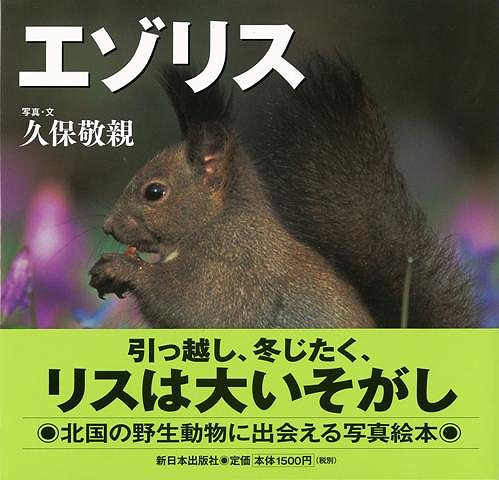楽天市場 エゾリス 北国の野生動物 バーゲンブック 久保 敬親 新日本出版社 子ども ドリル 観察図鑑 飼育 絵本 えほん 観察 図鑑 写真 動物 冬 アジアンショップ楽天市場店 楽天市場 エゾリス 北国の野生動物 バーゲンブック 久保 敬親 新日本出版社 子ども ドリル 観察図鑑 飼育 絵本 えほん 観察 図鑑 写真 動物 冬 アジアンショップ楽天市場店