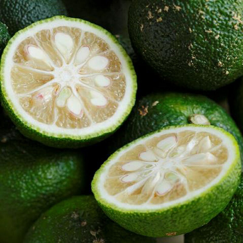 人気ブラドン 農薬 化学肥料不使用栽培の木頭柚子 青ゆず 1kg 約12個 農薬化学肥料不使用 黄金の村 徳島 ゆず 柚子 青柚子 薬味 青果 柑橘 柑橘類 生ゆず 生柚子 Yuzu Bluecitron 青玉 ビタミンc クエン酸 風邪予防 疲労回復 安心安全 新鮮 Colegioproceres Edu Gt