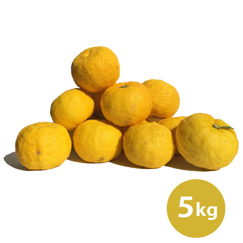 徳島県 木頭バース 柚子 ゆず 農薬 化学肥料不精進教養の木頭柚子 黄玉 5kg 近くに50個 増進十人並 丸のビレッジ 徳島 木頭ゆず ゆず ユズ Yuzu 黄玉 吾栽培所 農薬 化学肥料不使用 大きに栽培 皮 肉類厚 優良薫香 酸性 ゆず湯 ユズ湯 Goodboydogbeer Com