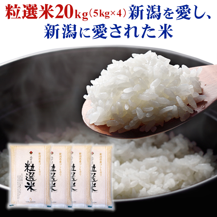 特別セール！玄米限定 令和4年 埼玉県産コシヒカリ 玄米 30kg 美味しいお米