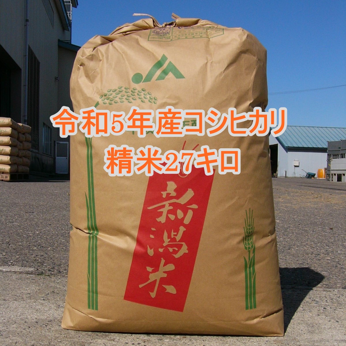 【楽天市場】新潟産 コシヒカリ 玄米 30kg 米 送料無料 徳用紙袋入り 