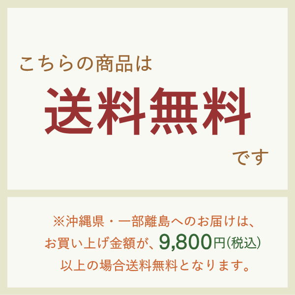 オープニング 大放出セール Zippo ジッポー Nz 11 魔女の宅急便 ジジ スタジオ ジブリ コレクション Zippo メンズ ギフト 限定製作