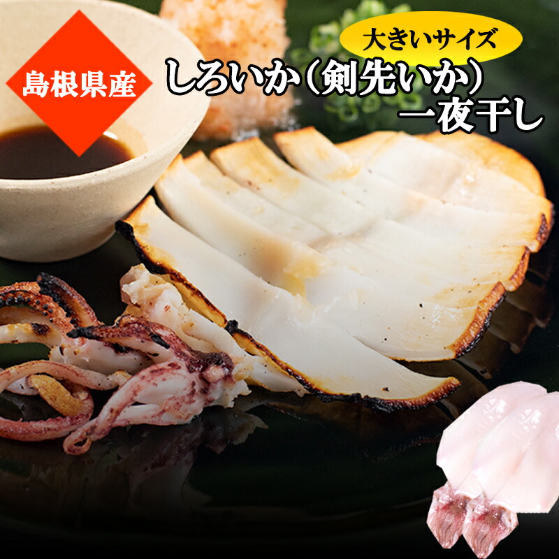【島根県産 溢れる甘味】シロイカ一夜干し（約25cm 約100g）剣先イカ 真イカ