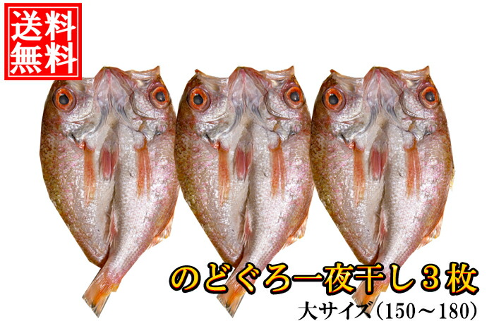 市場 送料無料 のどぐろ ×3枚 150〜180g 干物セット 大サイズ 高級魚 父の日 一夜干し