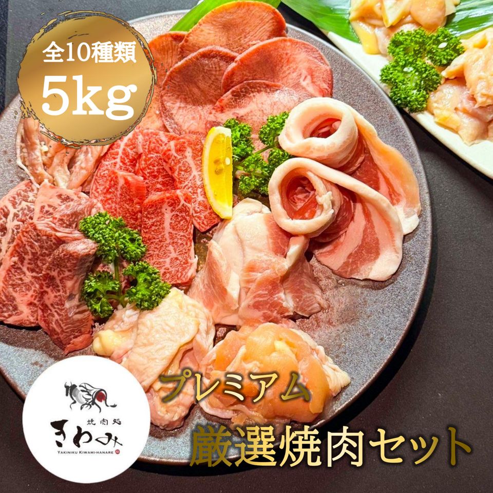 ＼24日～25日クーポンで5％OFF！／プレミアム 厳選 焼肉 セット メガ盛り 焼肉セット 牛タン 牛サガリ トントロ セセリ 豚カルビ 上ミノ 上ギアラ 鶏皮 鶏トロ 肉付きヤゲン 肉 焼肉 焼き鳥 炭火 ホットプレート 総菜 おかず おつまみ パーティー 自宅用 母の日 父の日