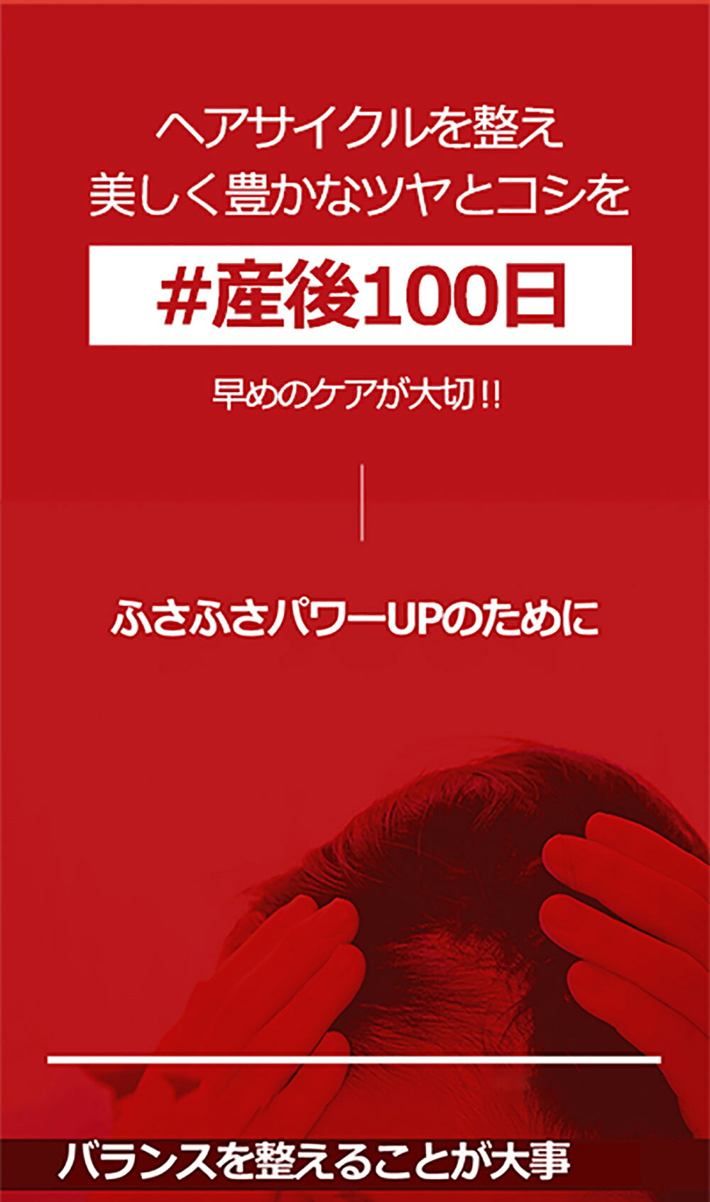 市場 ノコギリヤシ 女性 髪 髪の毛 人気 PRO-H3.2W 亜鉛 発毛 ヘアケア サプリメント 飲む 育毛 薄毛 抜け毛 90粒 ボリュームアップ  頭皮ケア