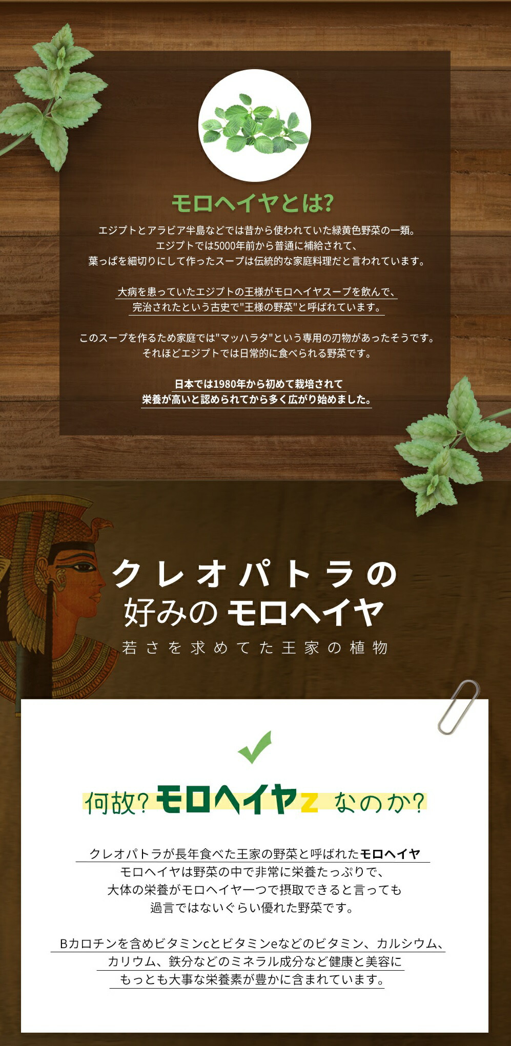 モロヘイヤ ストロフルス 麦酒イースト パパイヤ黒色火薬 野菜 