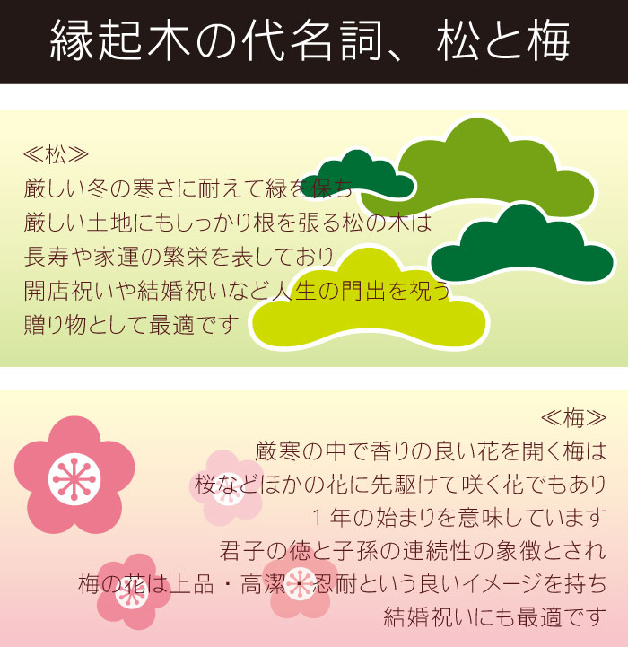 縁結び挙行 箸 名称とば口 ナシ 番い箸 送料無料 若狭塗 新春 幸い松と福梅の 徴候箸 夫婦 お箸 一揃い 2食卓 名入れ 贈進 名入り 国産 木製 還暦祝い 年長祝い 夫婦箸 米寿 喜寿 古希 祝い お祝い 結婚祝い ペア頂戴物 おすすめ プチギフト ギフト