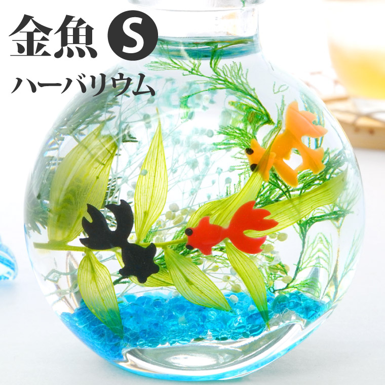 金魚 アート 祭 樹脂金魚 誕生日 プレゼント 贈り物 ギフト 置物 水草 金魚アート 祭 日本製 手作り ハンドメイド 3D金魚 アクリル