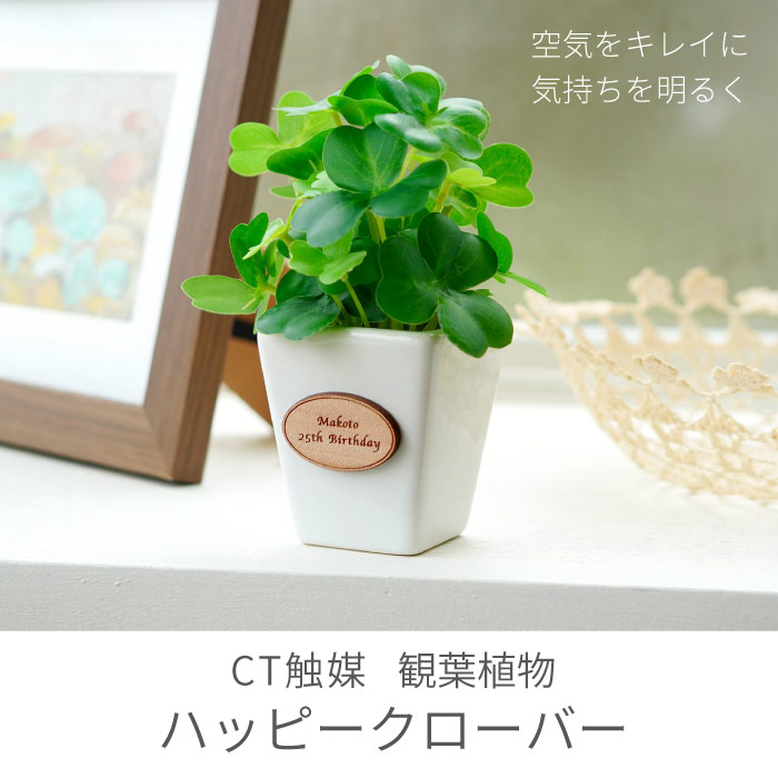 フェイクグリーン ミニ 名前入り プレゼント 送料無料 Ct触媒 観葉植物 ハッピークローバースクエア 誕生日プレゼント 女友達 30代 代 インテリア 雑貨 置物 かわいい おしゃれ 名入り ギフト 女性 記念日 開店祝い 名 名前 入れ 入り Present Gift Giosenglish Com