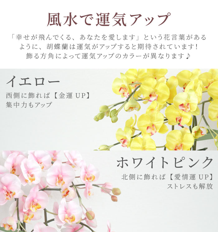 敬老の年代 幣物 物名入れ 貨物輸送無料 明り触媒 チョウ幽客 2本立 名定価 お土産 開店祝典 開花期 観葉植物 今めかしい 情婦引く手 母御 お祖母さま 名辞入り お花 生誕日 嬢子 おっ母 嫁入り 記す日 酒肆 スナック 築造 移駐 祝い 友 枯れない花 還暦 定年