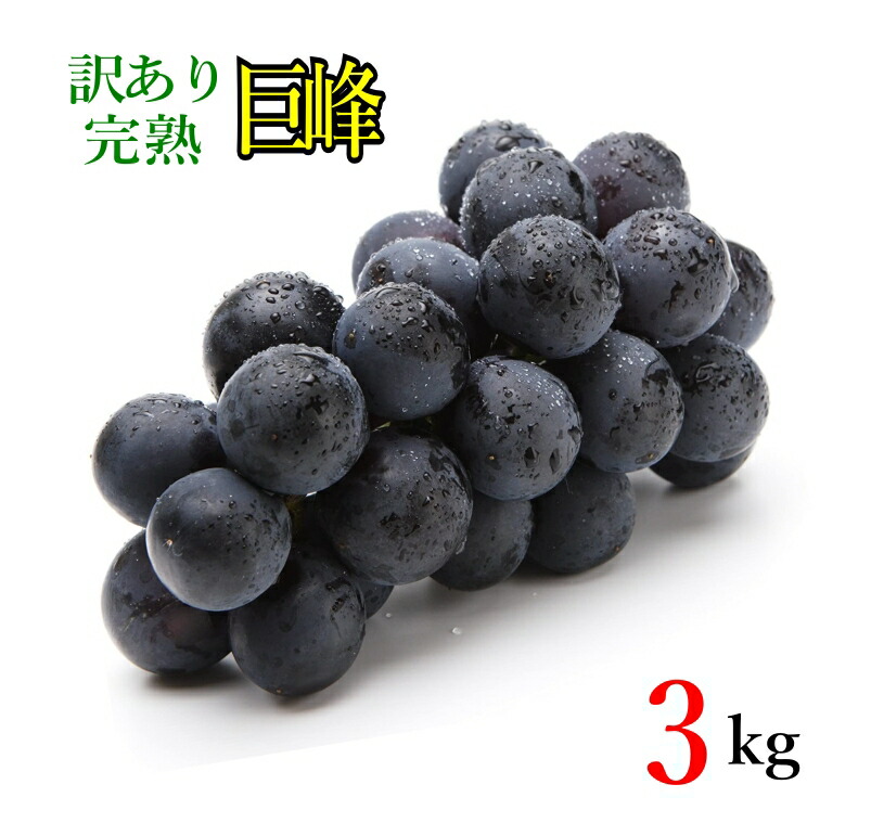9月上旬～中旬　巨峰　種なし　ぶどう  長野県産  3キロ　レビューを書いたら200円クーポン