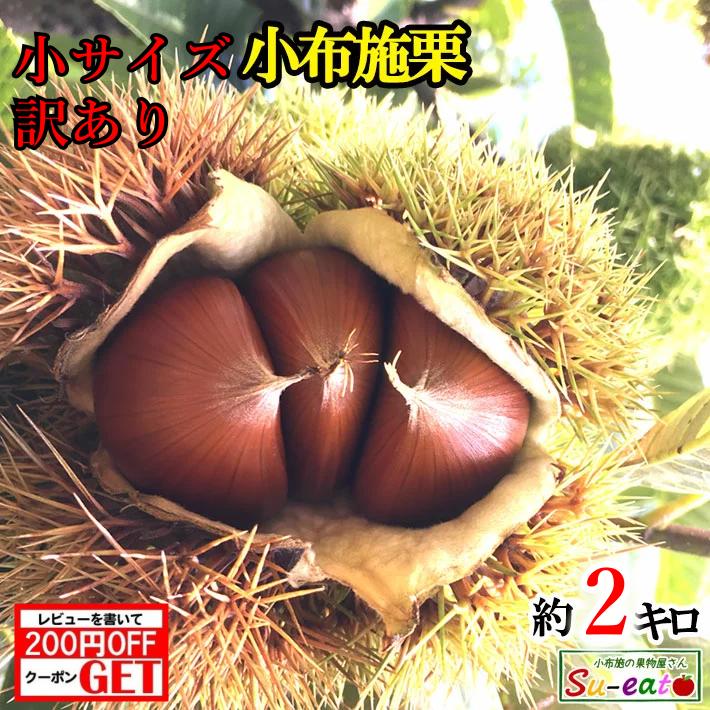 楽天市場】9月下旬〜10月上旬 小サイズ 小布施栗 3キロ レビューを書いたら200円クーポン : Su-eat Farm Obuse