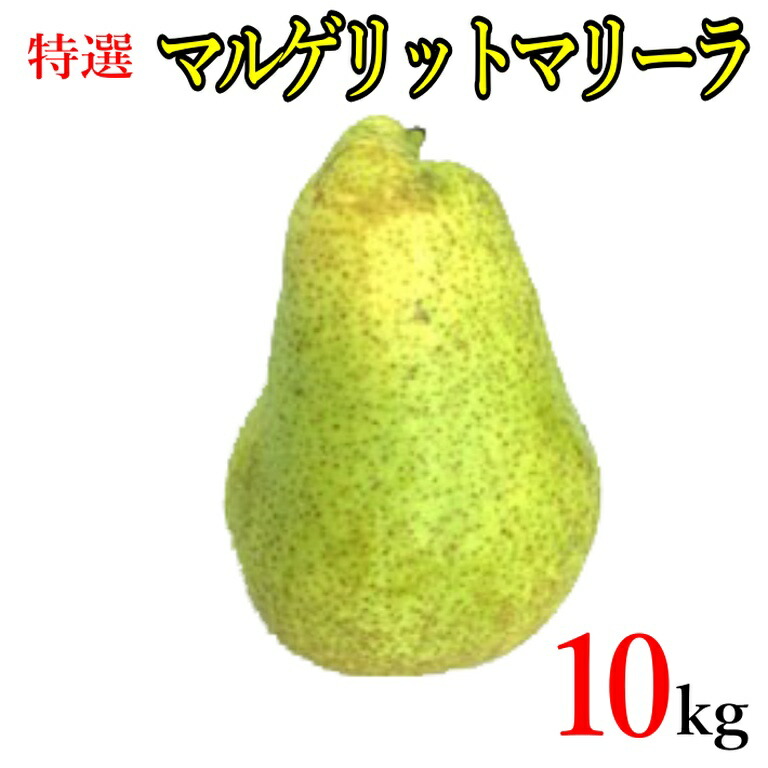 本日限定10%OFF 　9月下旬～10月上旬 特選 洋梨 マルゲリット　マリーラ 減農薬 10キロ　レビューを書いたら200円クーポン