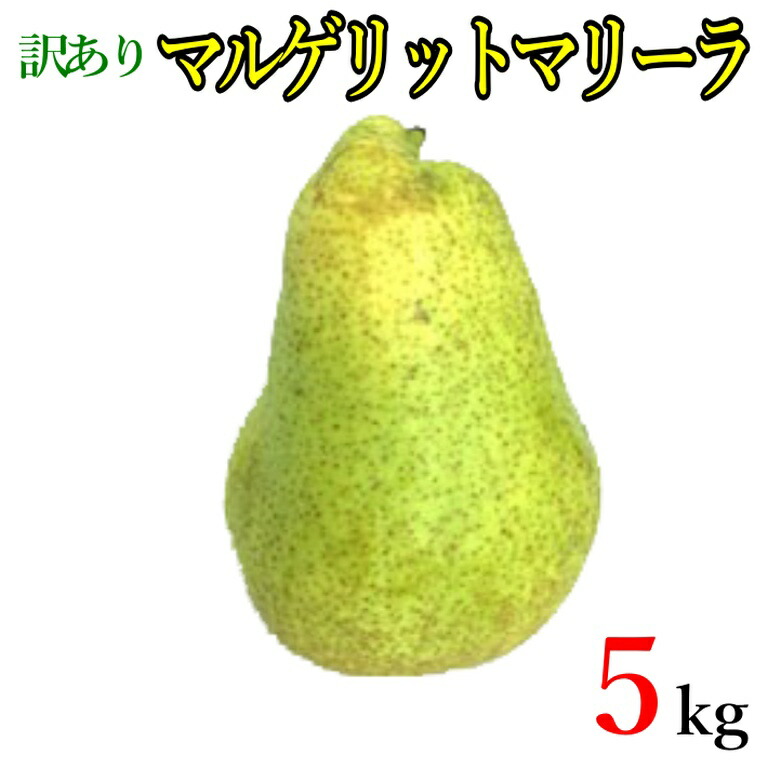 市場 9月下旬〜10月上旬 洋梨 マルゲリット 減農薬 マリーラ 訳あり