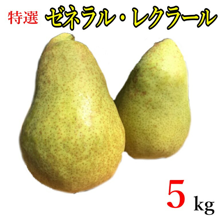 最安値挑戦 美味しい洋梨をぜひこの機会に 10月上旬~中旬 ゼネラル レクラーク 訳あり 洋梨 減農薬 5キロ レビューを書いたら200円クーポン idvn.com.vn 最安値挑戦 美味しい洋梨をぜひこの機会に 10月上旬~中旬 ゼネラル レクラーク 訳あり 洋梨 減農薬 5キロ レビューを書いたら200円クーポン idvn.com.vn