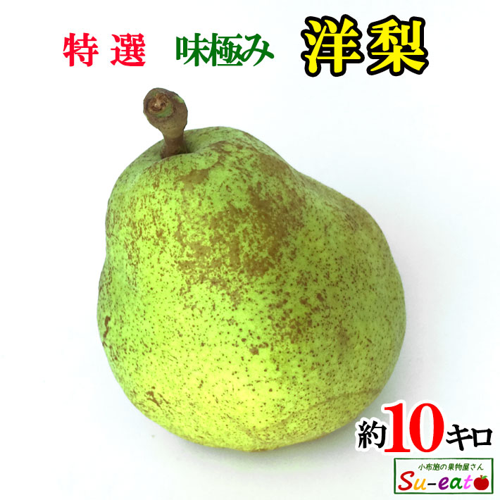 本日限定10%OFF 　9月下旬～10月上旬　特選  マルゲリットマリーラ　洋梨 長野県産 10キロ　レビューを書いたら200円クーポン