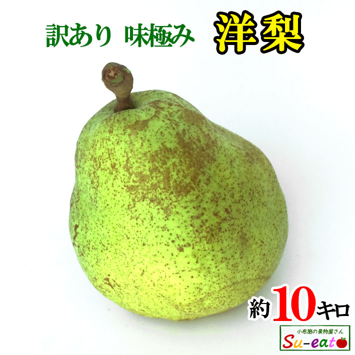 本日限定10%OFF 　9月下旬～10月上旬　マルゲリットマリーラ　訳あり 洋梨 長野県産 10キロ　レビューを書いたら200円クーポン