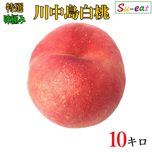 楽天市場】桃○白桃（白鳳・川中島）（和歌山県 田中農園）4Kg