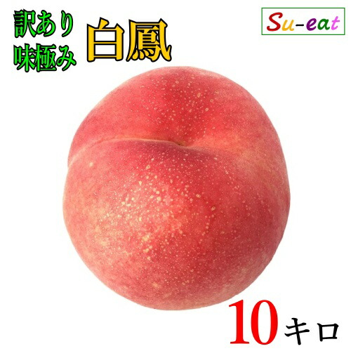 8月上旬～中旬　白鳳　桃　訳あり 減農薬 長野県産 10キロ　レビューを書いたら200円クーポン