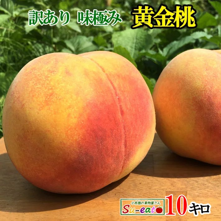 8月中旬～下旬　黄金桃 訳あり　減農薬 長野県産  10キロ　レビューを書いたら200円クーポン