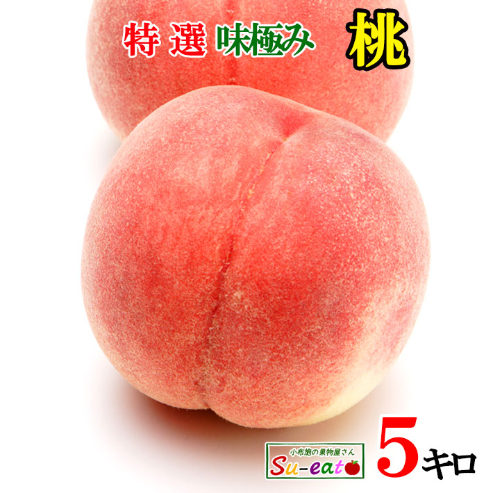 8月上旬～中旬　特選　なつっこ　減農薬 長野県産 5キロ　レビューを書いたら200円クーポン